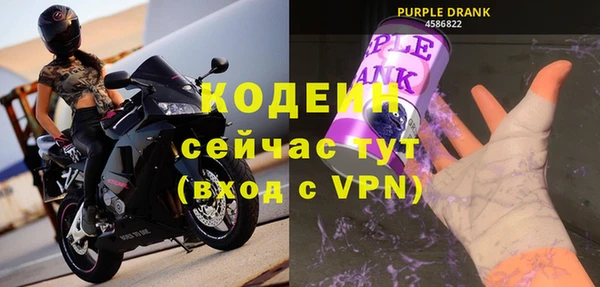 хмурый Инсар